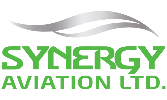 Synergy Logo